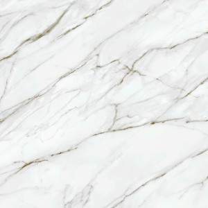 2005 Bianco Gold (New)